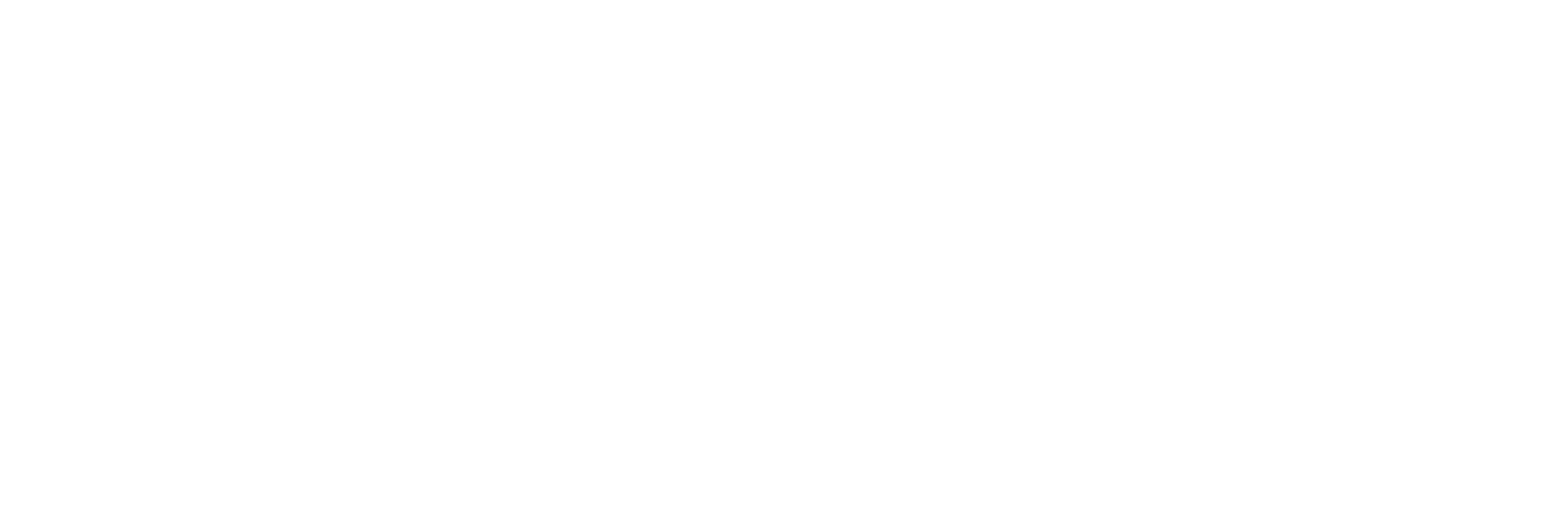 HORIZONTAL LOGO_wht_type_MASTER SPROCKET